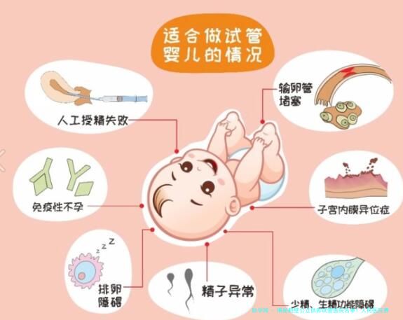 揭秘鹤壁公立供卵试管医院名单！人民医院费用预估数万