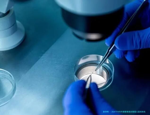 2024下半年年最新泰国试管婴儿医院排名每家试管技术清清楚楚