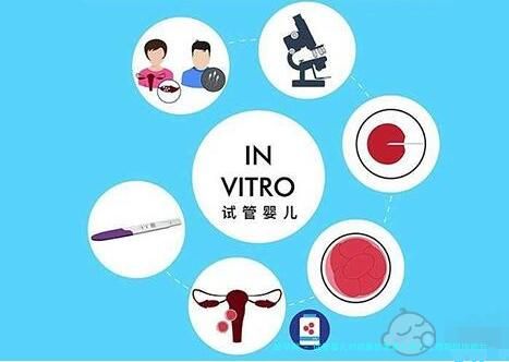 试管婴儿对卵巢伤害最小的人工周期促排卵方案是哪个？
