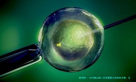 2024佛山做一次试管婴儿的具体步骤，含成功率费用等