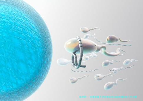 多囊卵巢不孕在南京市妇幼保健院做三代试管婴儿指南！怀孕成功率多少供您参考