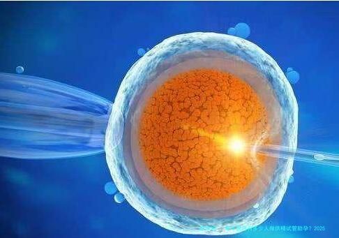 每年国内有多少人做供精试管助孕？2025供精试管资料及流程介绍