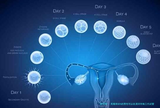 死精率80%的男性可以在漠河市做三代试管吗？公开2024做三代试管条件