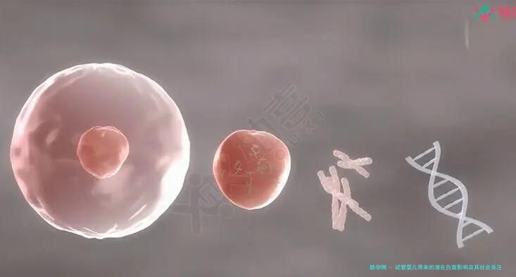 试管婴儿带来的潜在负面影响及其社会关注
