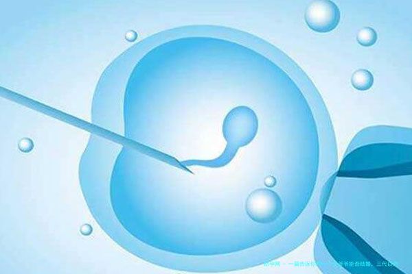 一篇告诉你同一个太爷爷能否结婚，三代以内不受法律保护