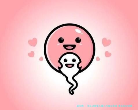 枣庄试管婴儿哪几代成功率高-枣庄妇幼试管婴儿成功率多少！