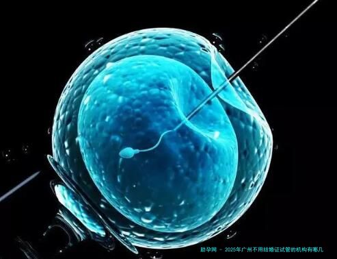 2025年广州不用结婚证试管的机构有哪几家?