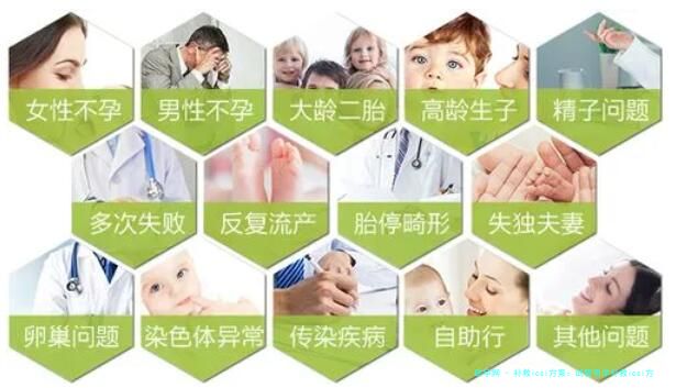 补救icsi方案：试管用早补救icsi方案是精子问题还是卵子