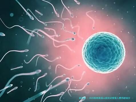 2025桂林南溪山医院试管婴儿费用明细分享，内附试管成功率及医生介绍