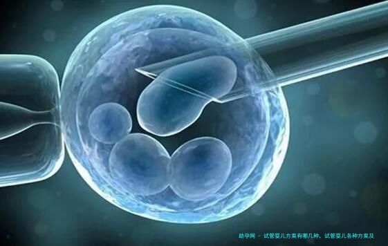 试管婴儿方案有哪几种，试管婴儿各种方案及适合类型