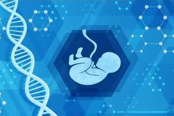 2025年扬州有正规的艾滋病试管机构吗?