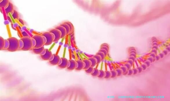 全面解析试管婴儿降调节的关键步骤与注意事项
