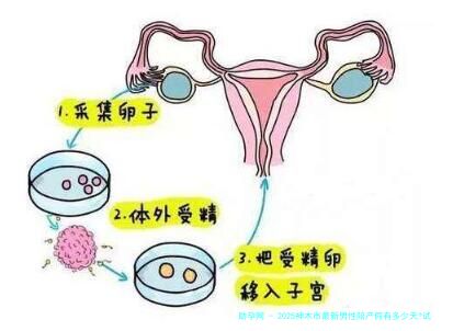 2025神木市最新男性陪产假有多少天?试管婴儿可以增加产假吗？