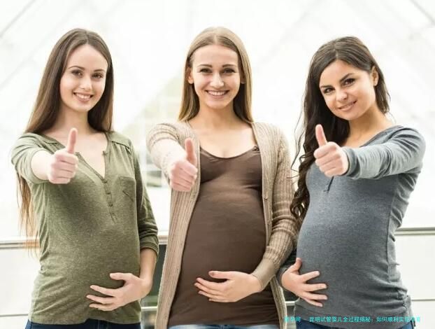 昆明试管婴儿全过程揭秘：如何顺利实现孕育梦想