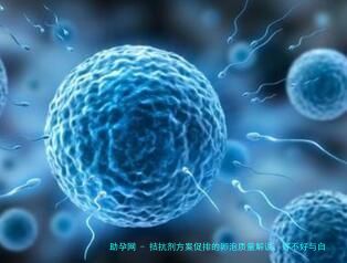 拮抗剂方案促排的卵泡质量解说，好不好与自身实况有关系！