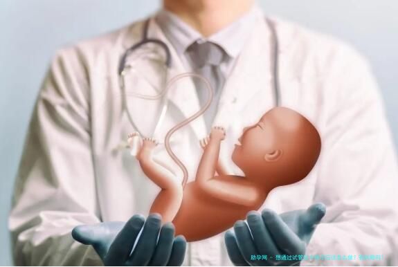 想通过试管生个孩子应该怎么做？有风险吗？