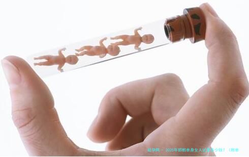 2025年邯郸单身女人试管多少钱？（附单身试管条件）