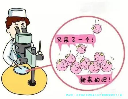 在安康市做试管婴儿长方案周期需要多久？超长方案促排流程是怎么样的？