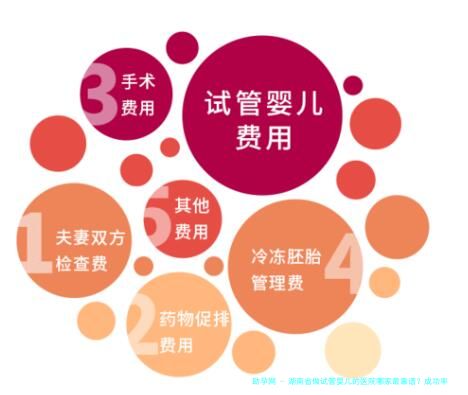 湖南省做试管婴儿的医院哪家最靠谱？成功率及费用一览