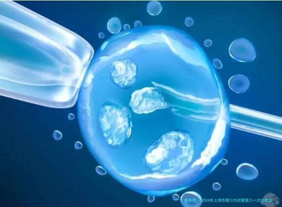 2024年上海市第三代试管婴儿一次价格怎么样？