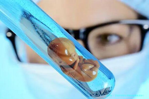 宫廷怀孕宫女需要具备哪些条件？