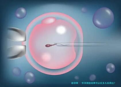 怀孕测验结果可以在多久后得出？