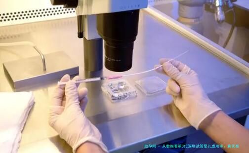 从数据看第3代深圳试管婴儿成功率：真实案例与科学依据分享，需要注意哪些问题