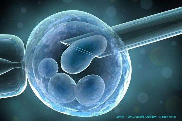 郑州三代试管婴儿费用解析：花费细节与总价揭秘，预计在多少费用在将逝的2024年？