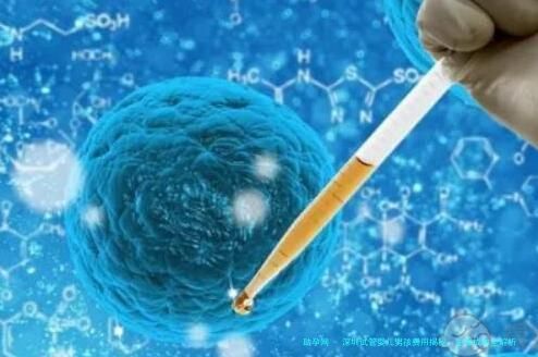 深圳试管婴儿男孩费用揭秘：生育成本全解析，怀孕价格表一览！