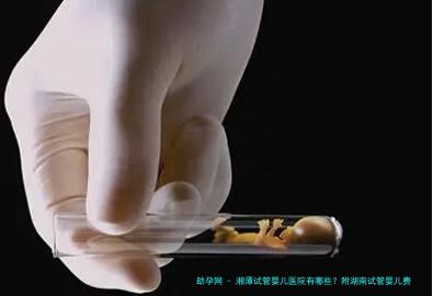 湘潭试管婴儿医院有哪些？附湖南试管婴儿费用详情