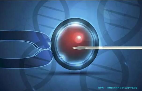 不结婚2025年可以在吗无锡904医院做试管要个孩子吗