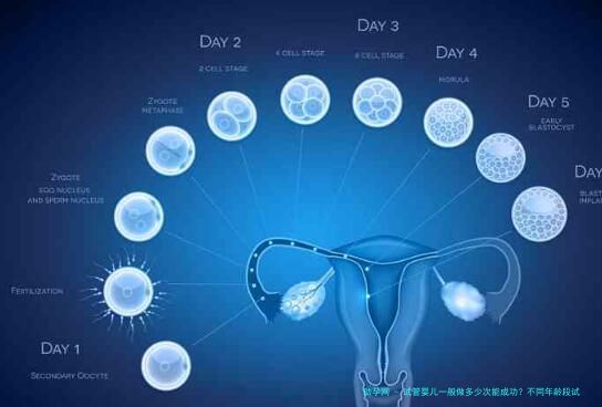 试管婴儿一般做多少次能成功？不同年龄段试管成功率大不相同