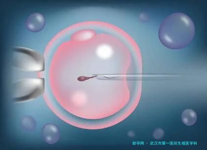 武汉市第一医院生殖医学科