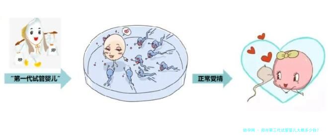 郑州第三代试管婴儿大概多少钱？