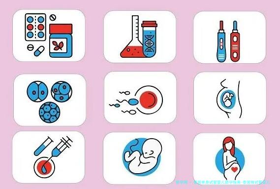 泰国单身试管婴儿助孕指南-泰国做试管婴儿可以生孩子吗！