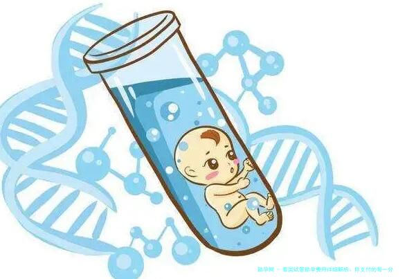 泰国试管助孕费用详细解析：你支付的每一分钱都值吗？费用与效果对比！