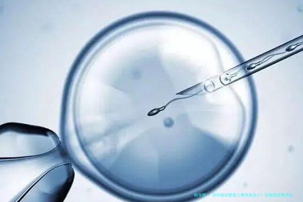 深圳做试管婴儿费用是多少？试管医院费用如何节省？