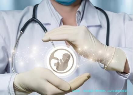 新试管婴儿费用解析：2024年试管试管婴儿大概需要多少费用？
