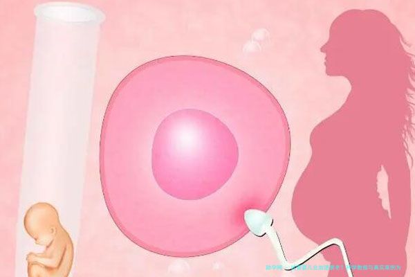 试管婴儿会加速衰老？科学数据与真实案例为你揭秘