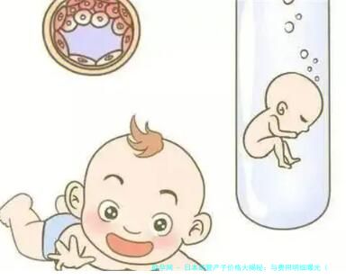 日本试管产子价格大揭秘：与费用明细曝光（新消息）
