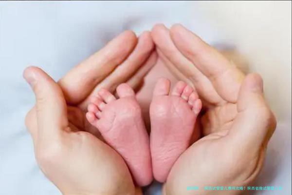 陕西试管婴儿费用攻略？陕西省做试管婴儿有补贴吗？
