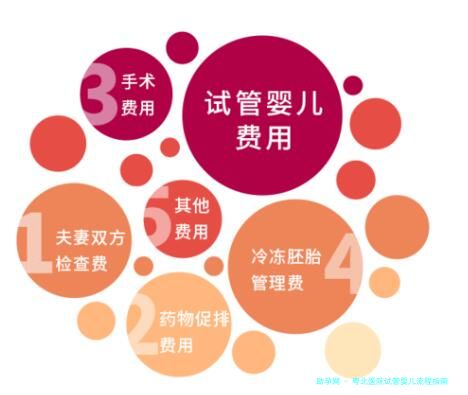 粤北医院试管婴儿流程指南