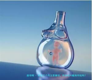 怀孕三个月注意事项，怀孕吃叶酸有坏处吗？