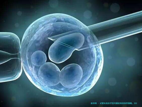 试管失败后子宫内膜的有效保养策略，2024版，保护子宫内膜免受伤害