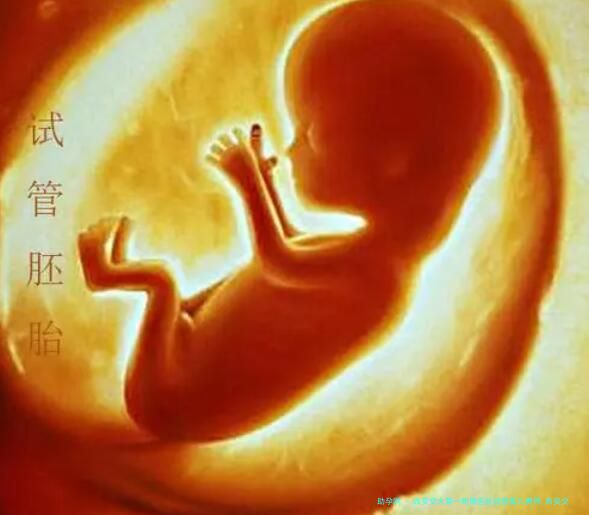 西安交大第一附属医院试管婴儿费用,西安交大一附院辅助生殖！