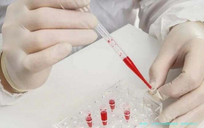 X与Y精子存活周期全解析：科学备孕的五大认知更新
