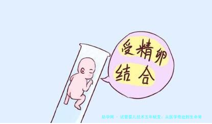 试管婴儿技术五年蜕变：从医学奇迹到生命常态