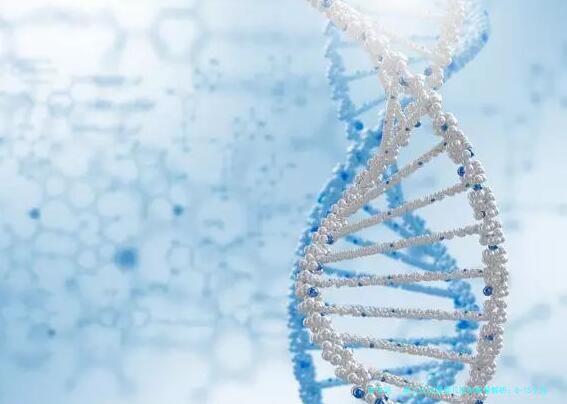 第三代试管婴儿取卵数量解析：8-15个为理想范围？