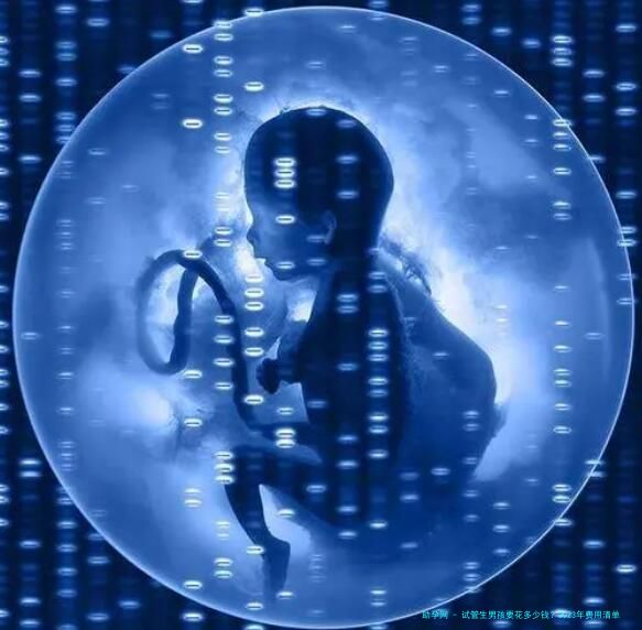 试管生男孩要花多少钱？2023年费用清单与避坑指南