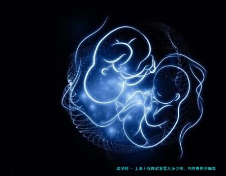 上海十院做试管婴儿多少钱，内附费用明细表参考